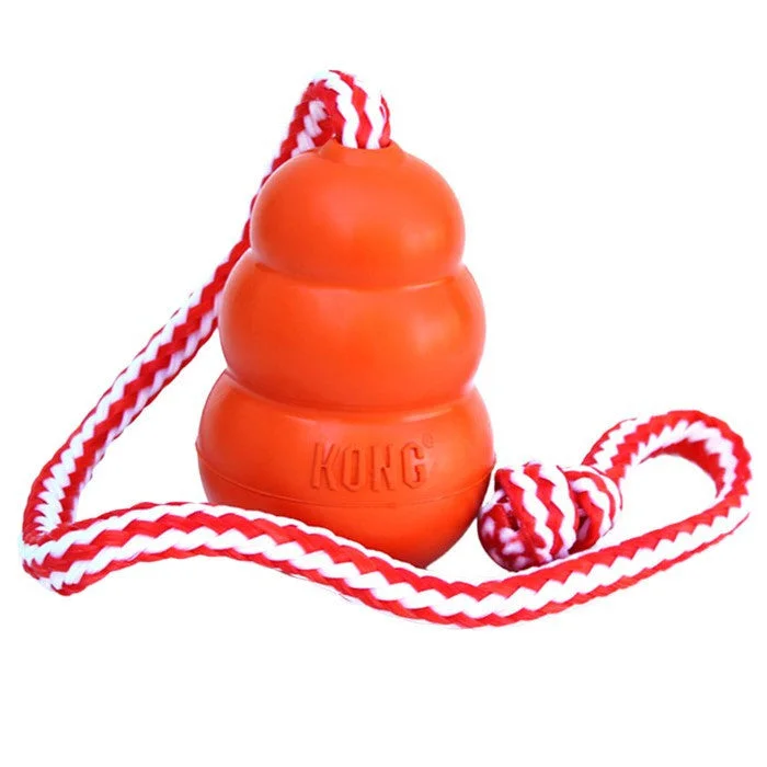 Kong Aqua Dog Toy Orange