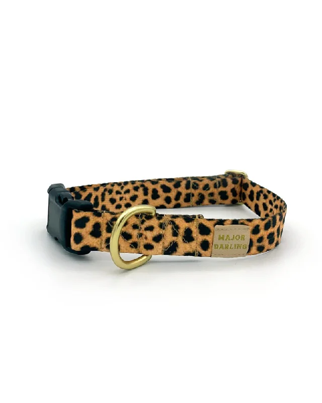 Side-Release Buckle Dog Collar in Leopard